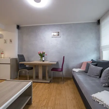 Apartment Krakowska Street Poznan