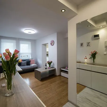 Krakowska Street Apartment Poznan